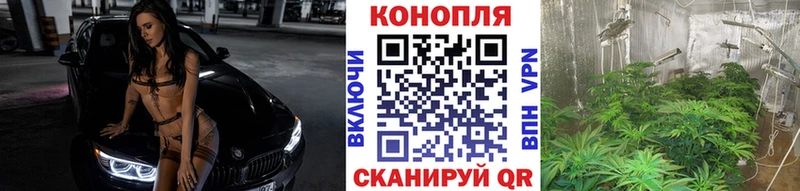 Продажа наркотиков Димитровград Канабис  Амфетамин  КОКАИН  Alpha-PVP  Гашиш  Меф мяу мяу 