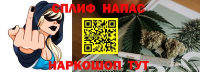 стаф Бузулук