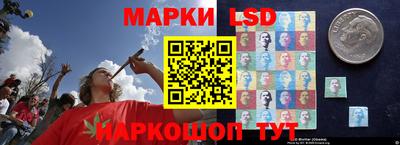 стаф Бузулук