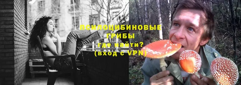 Галлюциногенные грибы Cubensis  даркнет сайт  blacksprut зеркало  Димитровград 