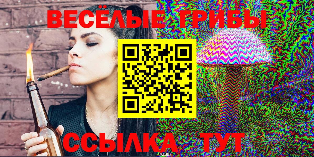 Димитровград  Псилоцибиновые грибы Cubensis  даркнет сайт  Вход с VPN 