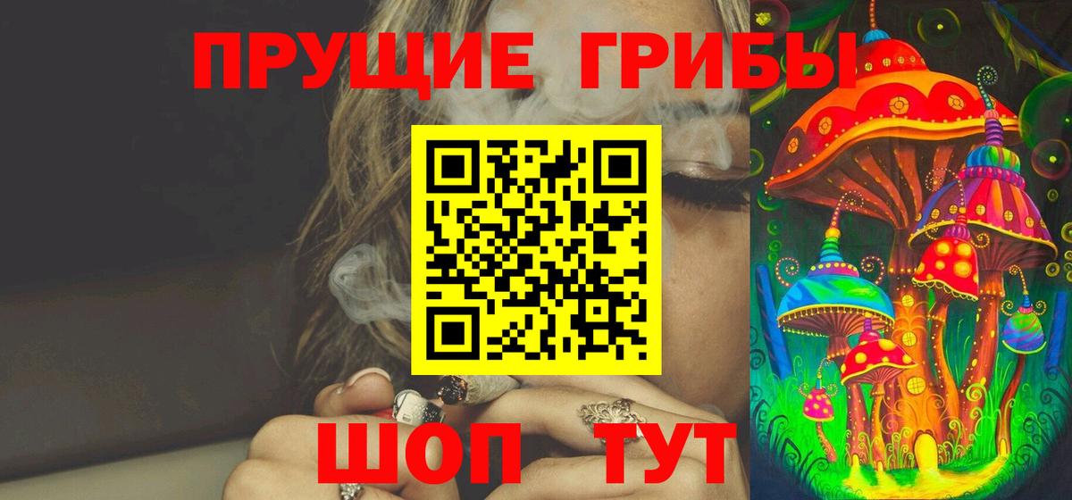 Галлюциногенные грибы Psilocybe Димитровград